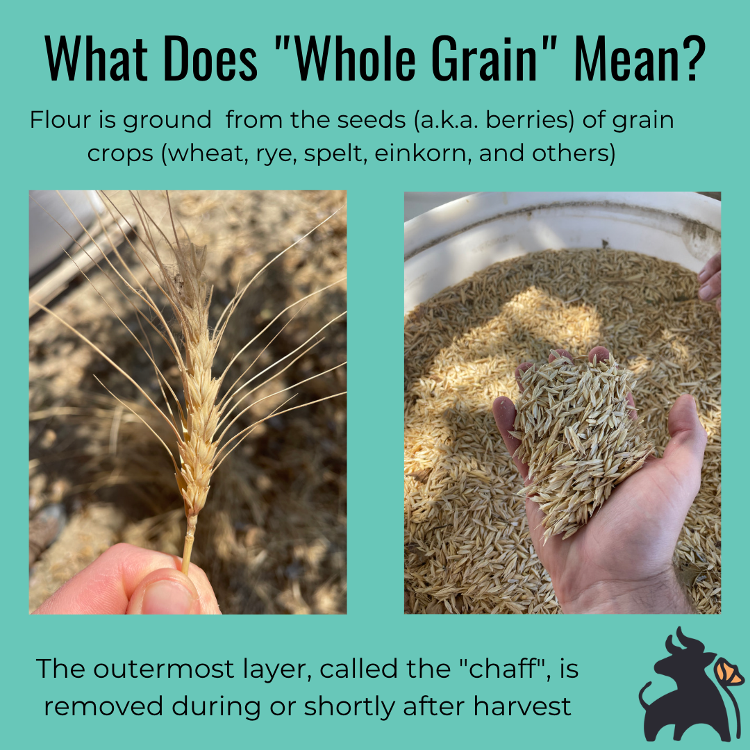 what-do-the-terms-whole-wheat-and-whole-grain-mean-raising-oxen